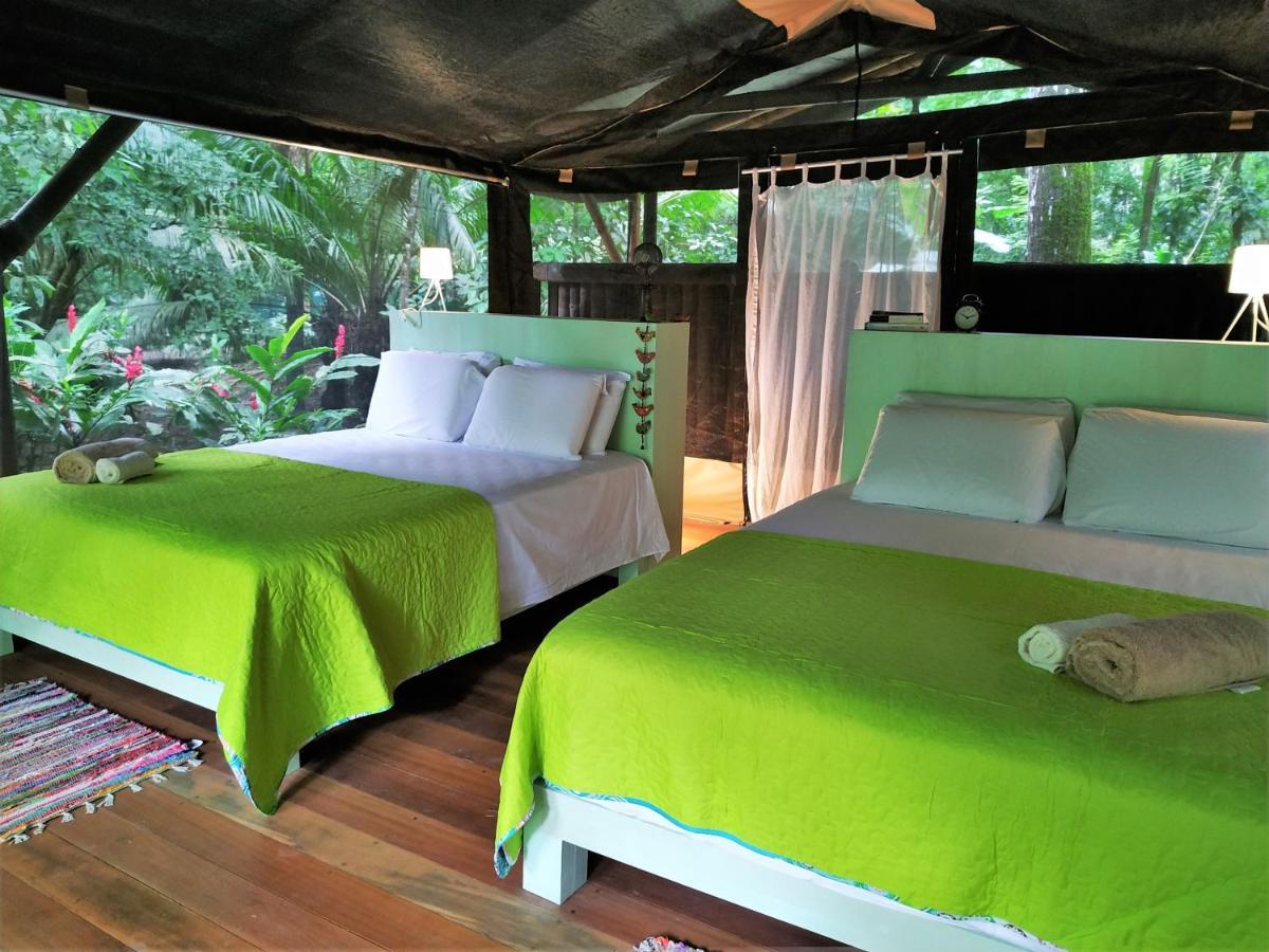 Four Monkeys Eco Lodge - Jungle & Beach Cabo Matapalo Exterior foto